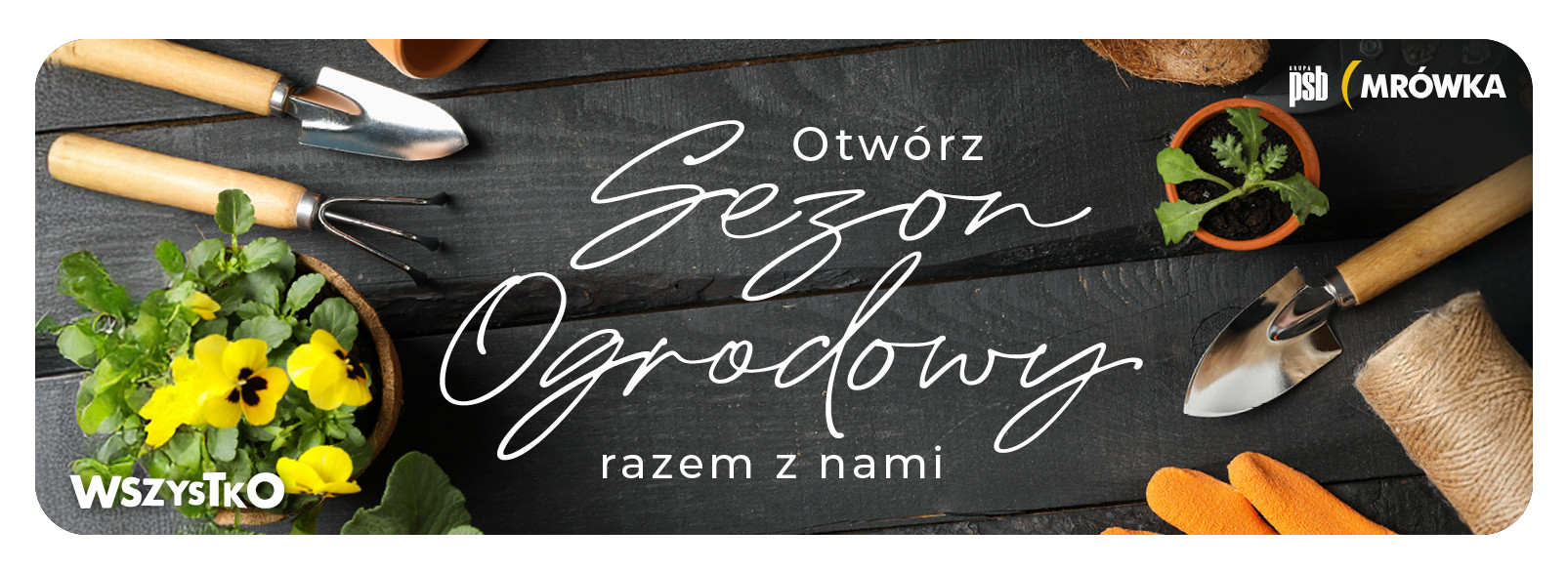 Grupa PSB mrowka Mrówka Iłowo-Osada